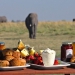 Breakfast in the Bushveld