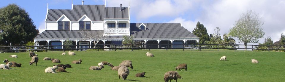 Country Homestead at Black Sheep Farm