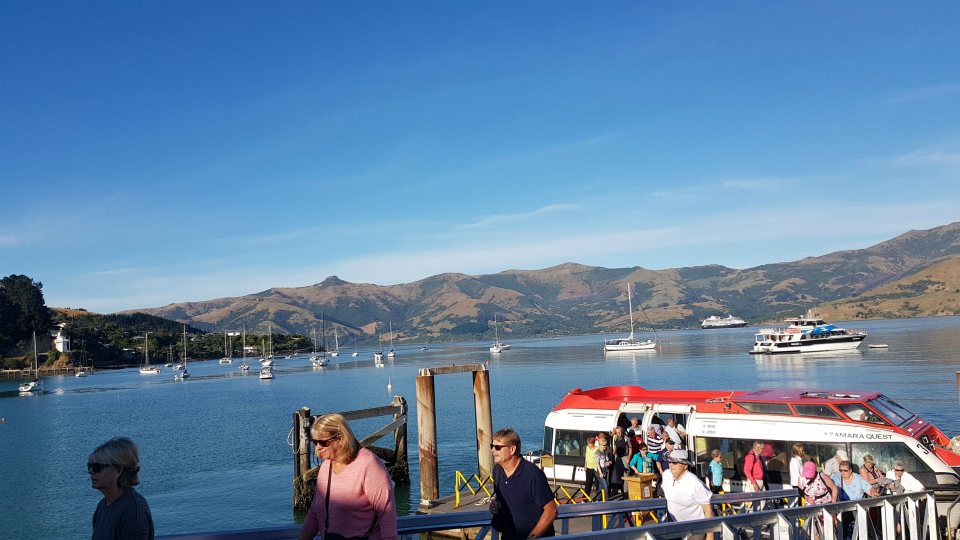 <h2>2019 New Zealand & Sydney Golf Cruise</h2>Azamara Quest (Jan)