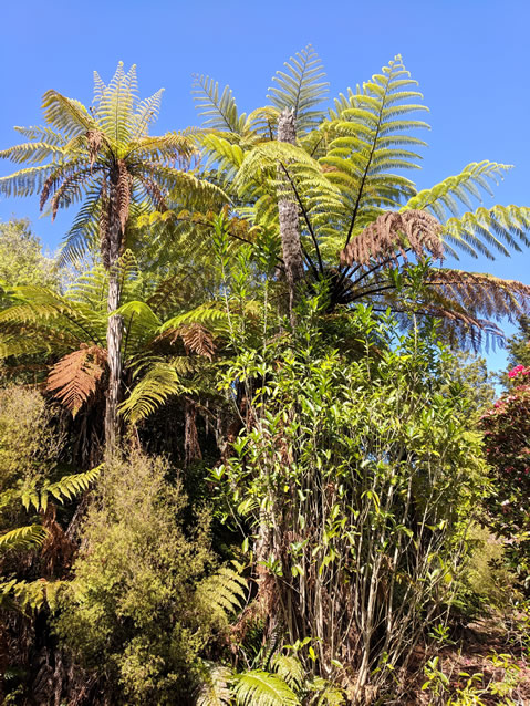 <h2>The Best of New Zealand Escorted 2018</h2>Taupo, Napier, Wellington & Queenstown